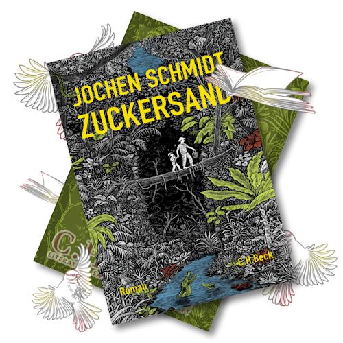 Jochen Schmidt Zuckersand